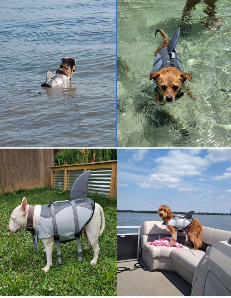 Pet products Dog Life Jacket view 3