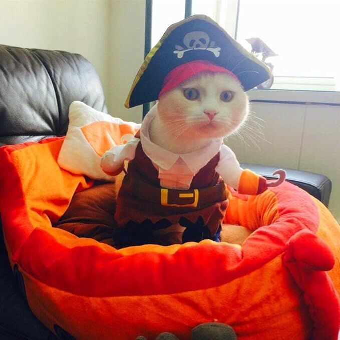 pet products New Funny Pet Clothes Pirate Dog Cat Costume Suit Corsair view 2