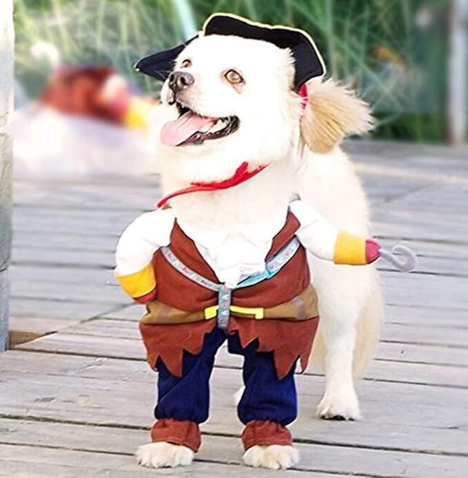 pet products New Funny Pet Clothes Pirate Dog Cat Costume Suit Corsair view 3