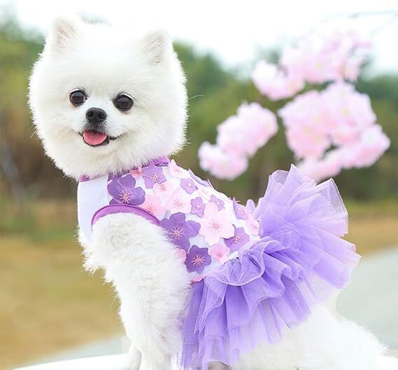 pet products Fall Dog Dresses for Small Dogs Girl 3 Pack Summer Puppy Clothes