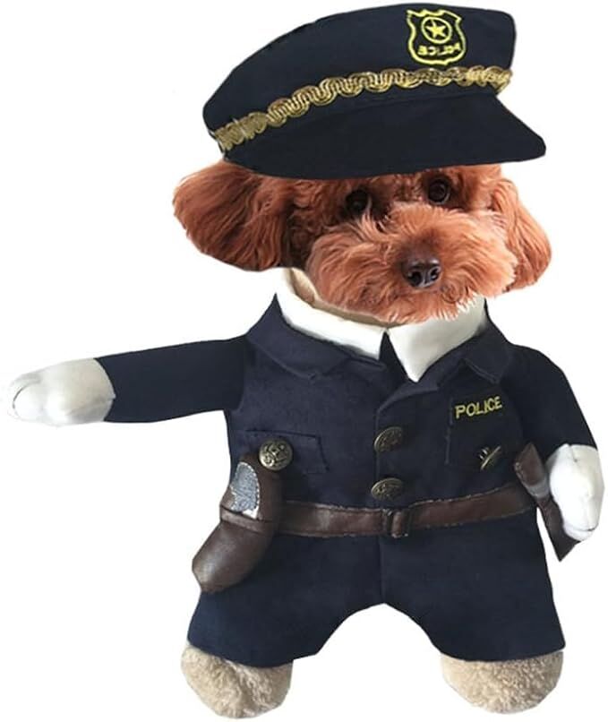 pet products Pet Cosplay Outfit view 2