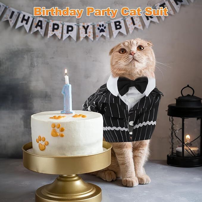 pet products Dog Cat Tuxedo Suit with Bow Tie - Formal Black & White Striped view 2