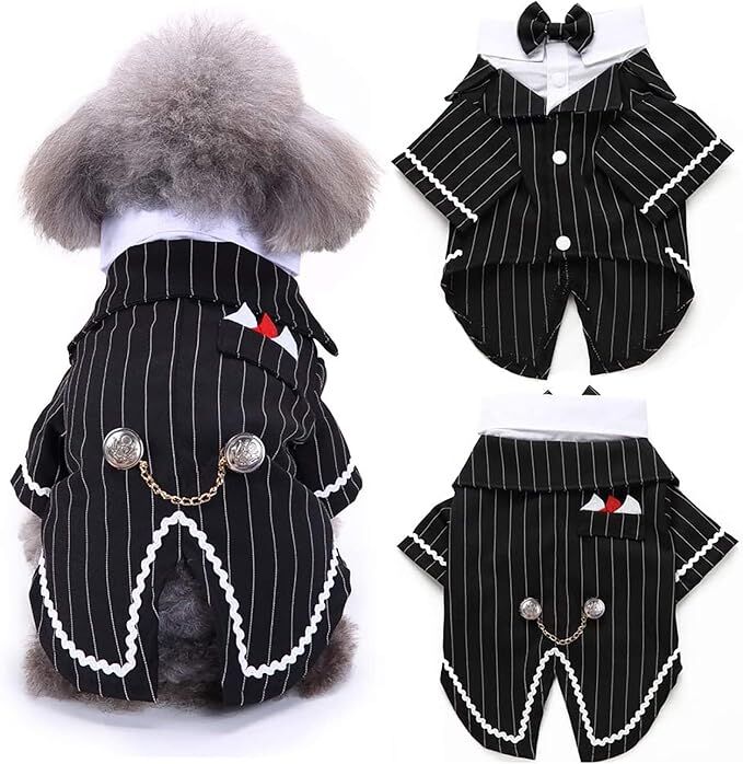 pet products Dog Cat Tuxedo Suit with Bow Tie - Formal Black & White Striped view 4