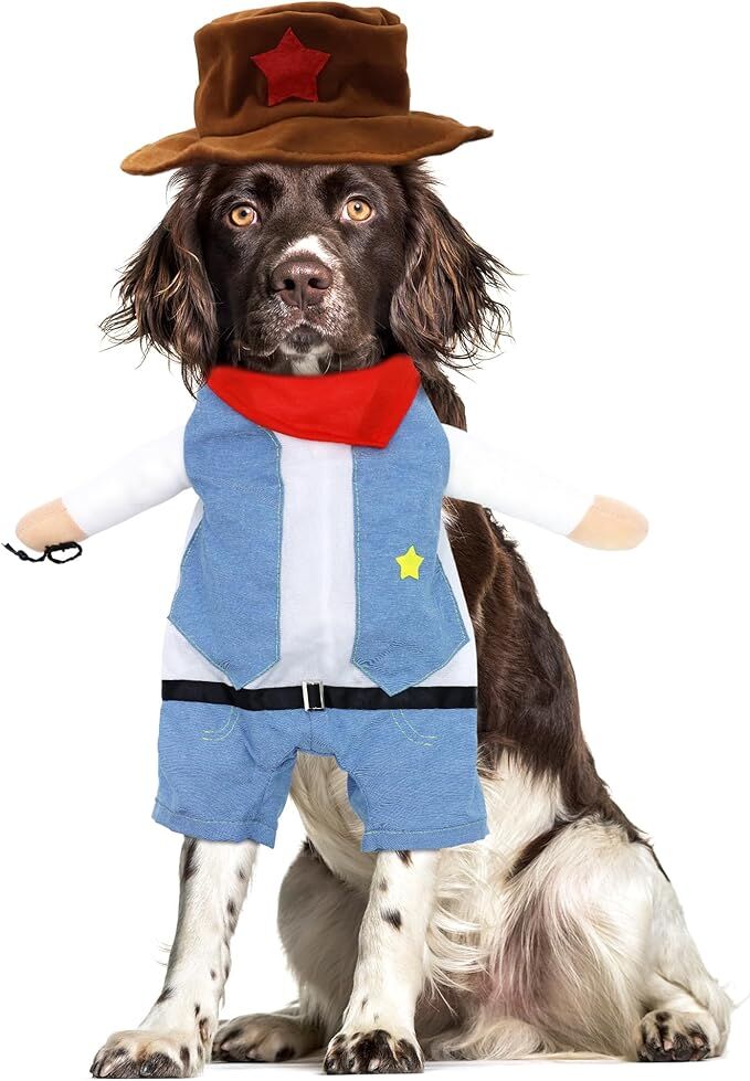 pet products Small Dog Cowboy Costume with Hat 2pcs Funny Halloween Chucky view 3