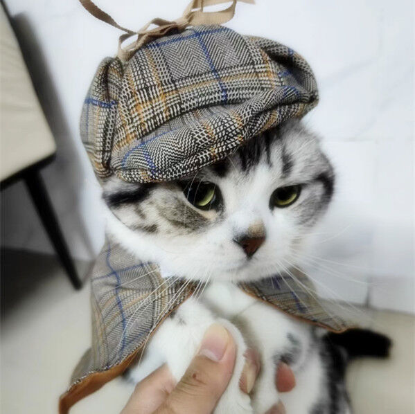 pet products Dog Costume-Cute Detective Pet Clothes Set Halloween Cosplay view 7