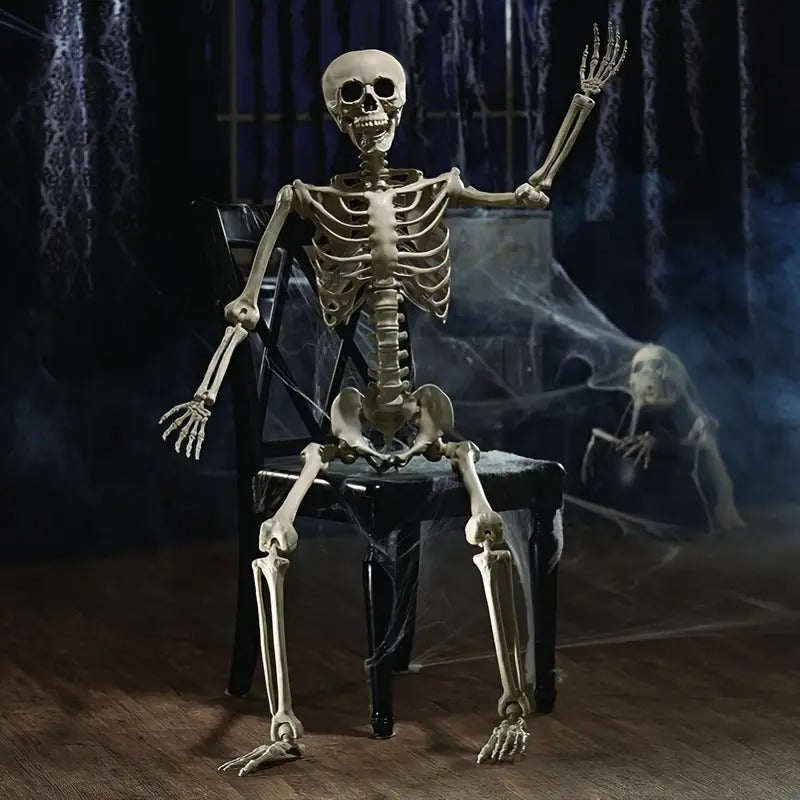 Life Size Standing Skeleton with Movable Joints view 5