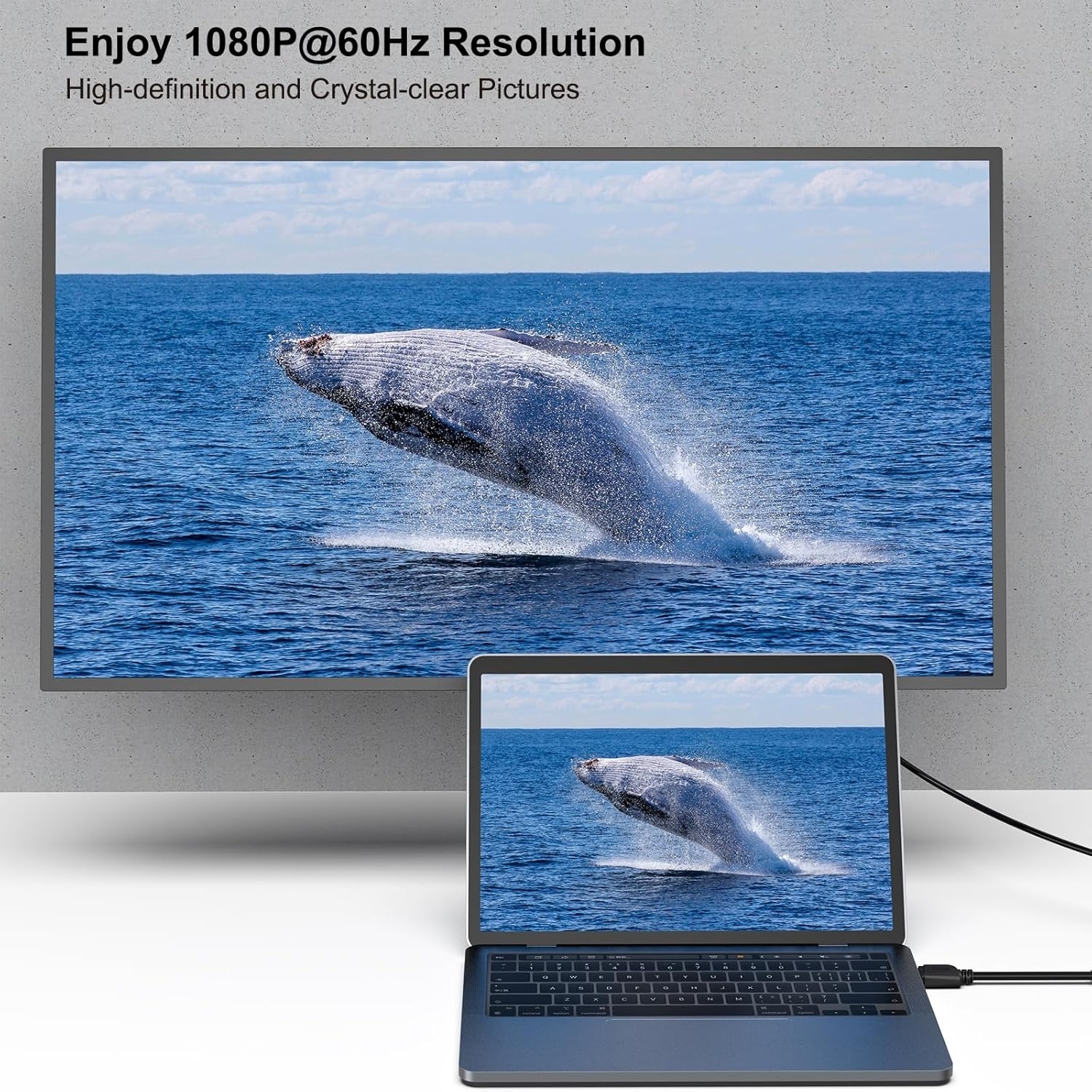 BENFEI HDMI to DVI, Bi Directional DVI-D 24+1 Male to HDMI Male High Speed view 3