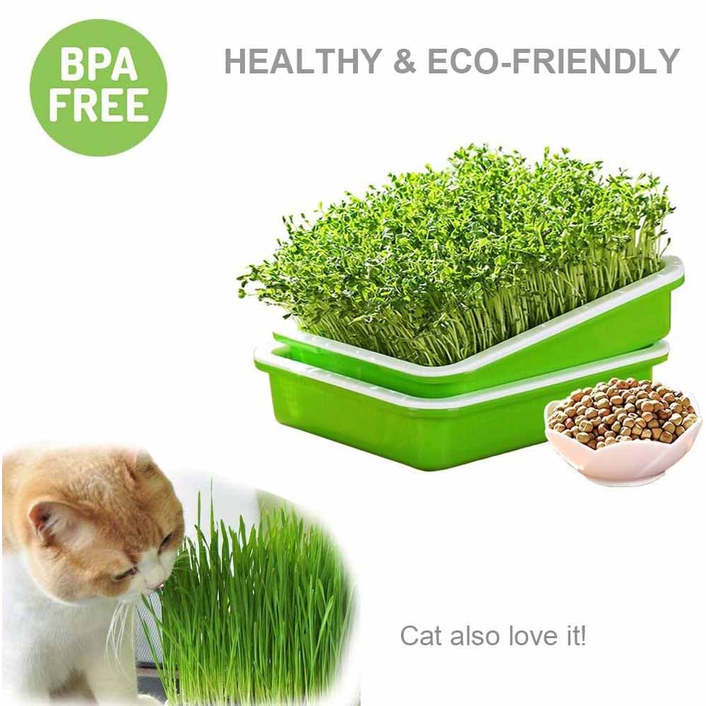 2-Pack Seed Sprouter Trays with Lids BPA-Free view 4