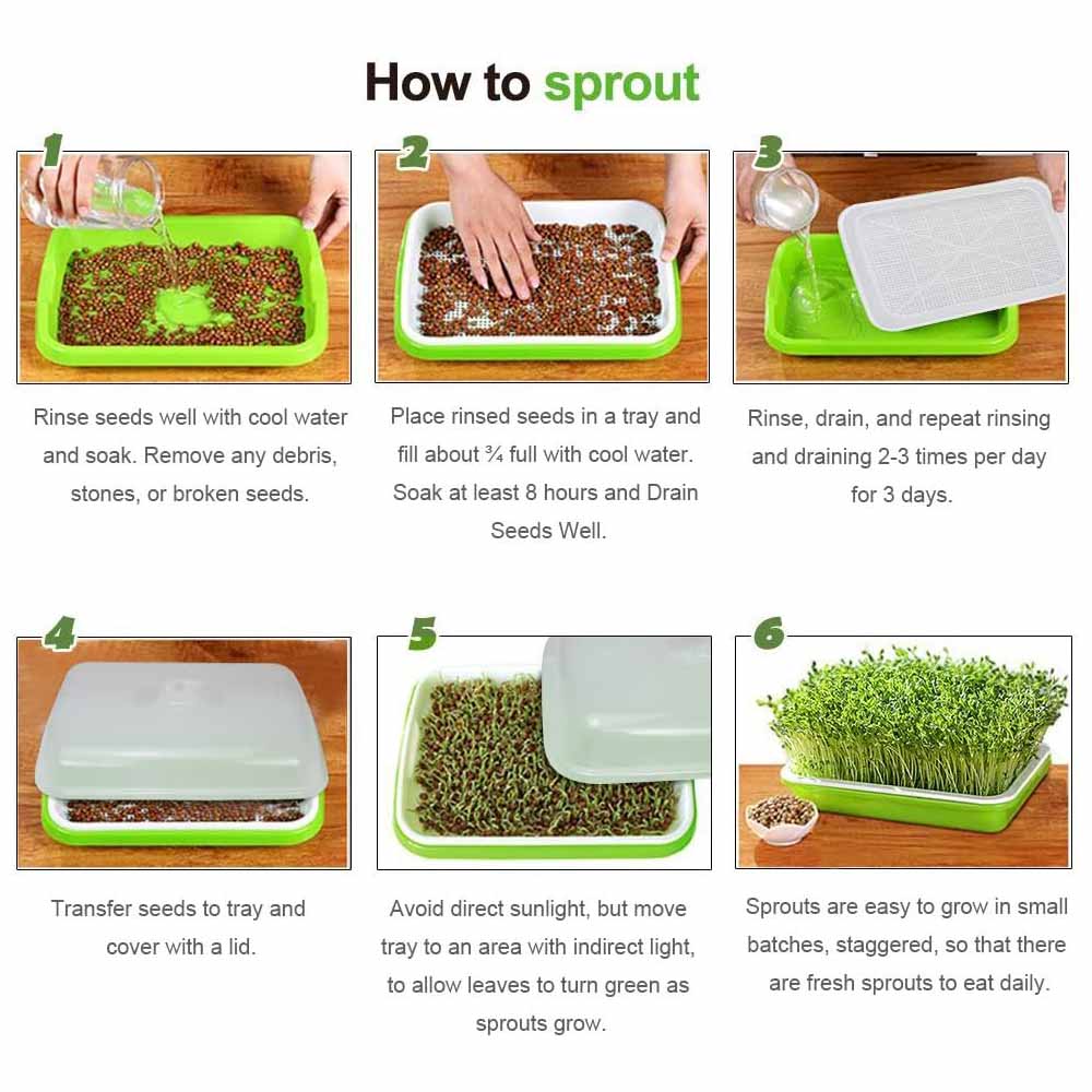 2-Pack Seed Sprouter Trays with Lids BPA-Free view 6