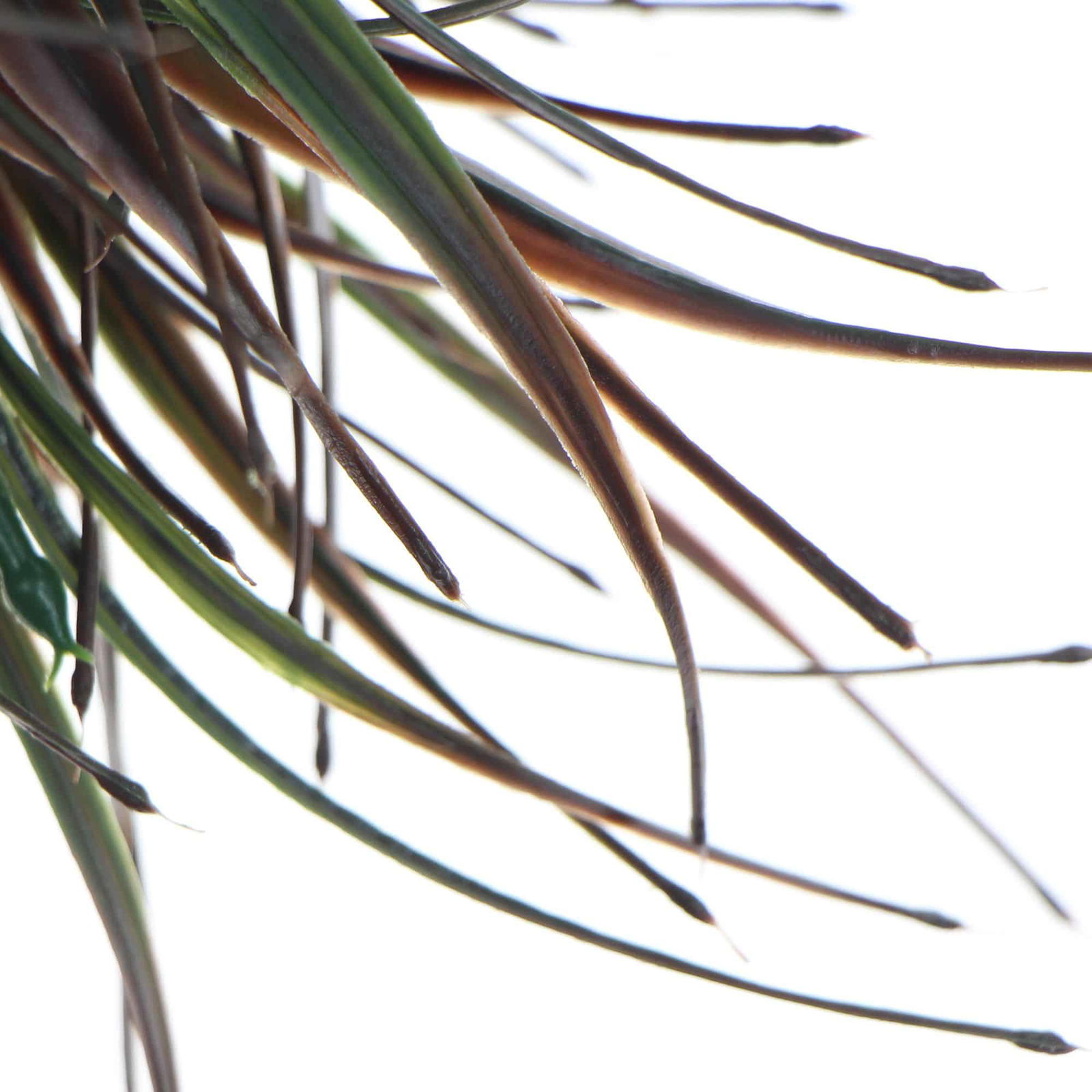 Artificial Brown Tipped Grass Plant UV Resistant 35cm view 3