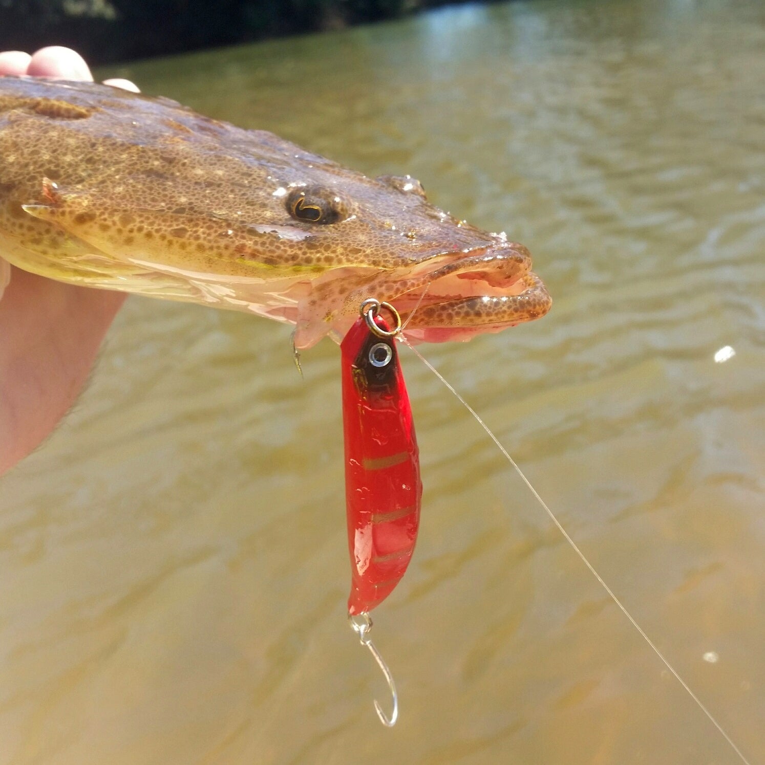Toppu Mizzu Sidewinder Bent Minnow, 95mm, Opaque Gold view 2