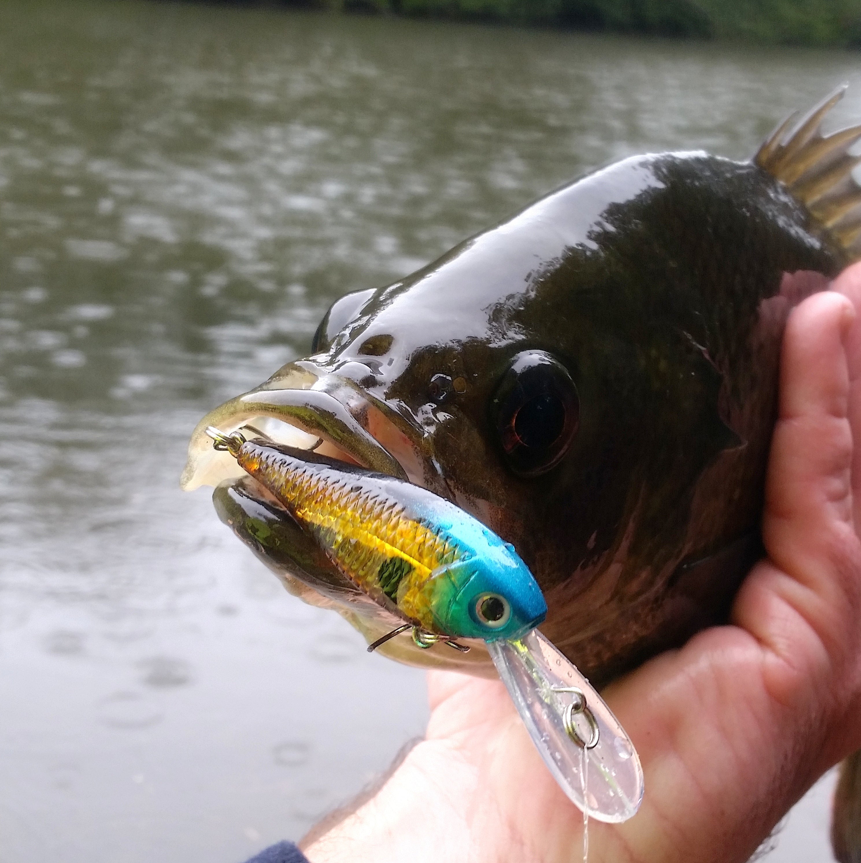 Hook Line & Sinker Gift Pack view 3