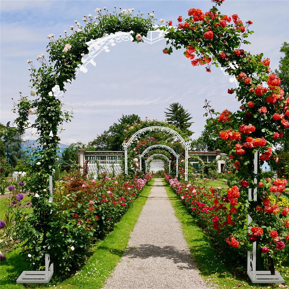 Fin Xl Decorative Double Rails Iron Arbor Garden Archway Trellis Metal Wedding view 4
