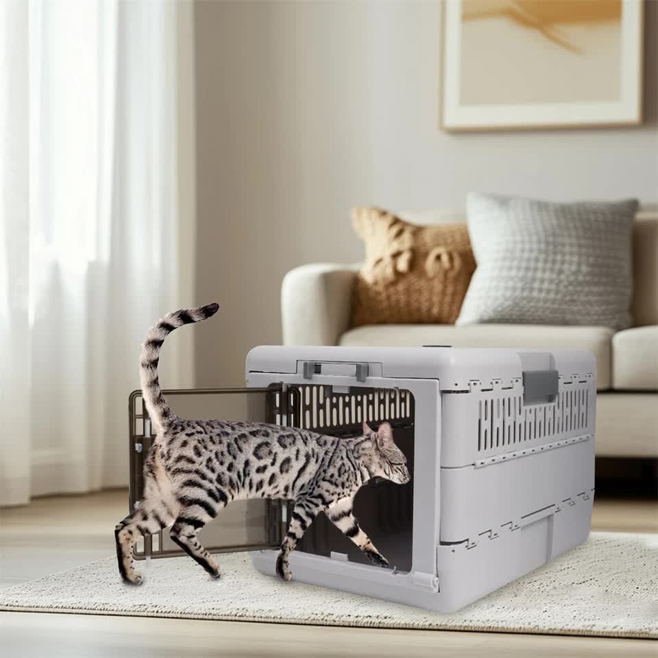 Portable Cat Travel Carrier Collapsible Plastic Kitten Pet Carry Crate view 3
