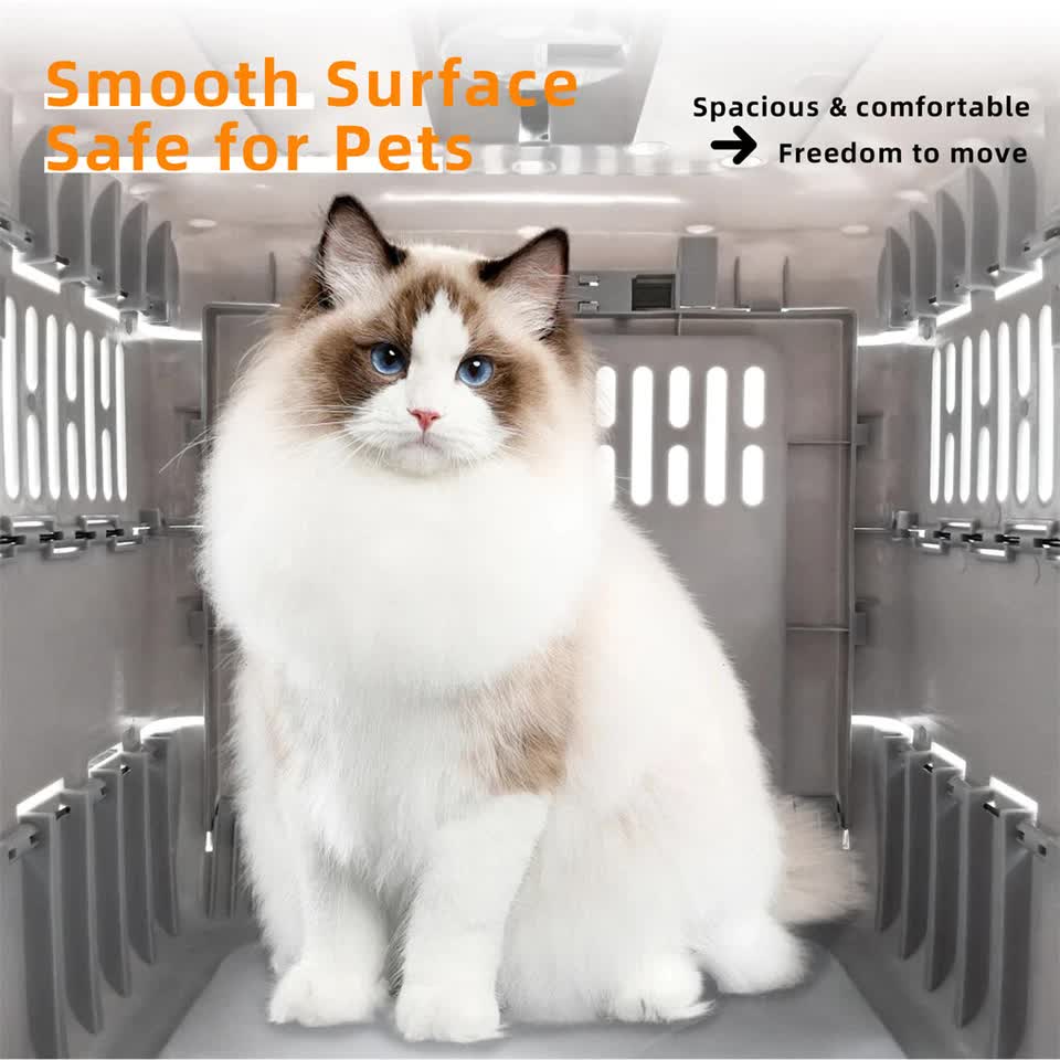 Portable Cat Travel Carrier Collapsible Plastic Kitten Pet Carry Crate view 9