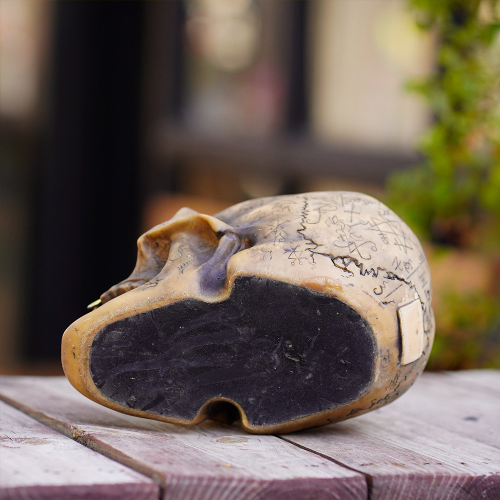 Mystic Runic Skull Statue with Gold Fang - Hand-Painted Resin Figurine for view 3
