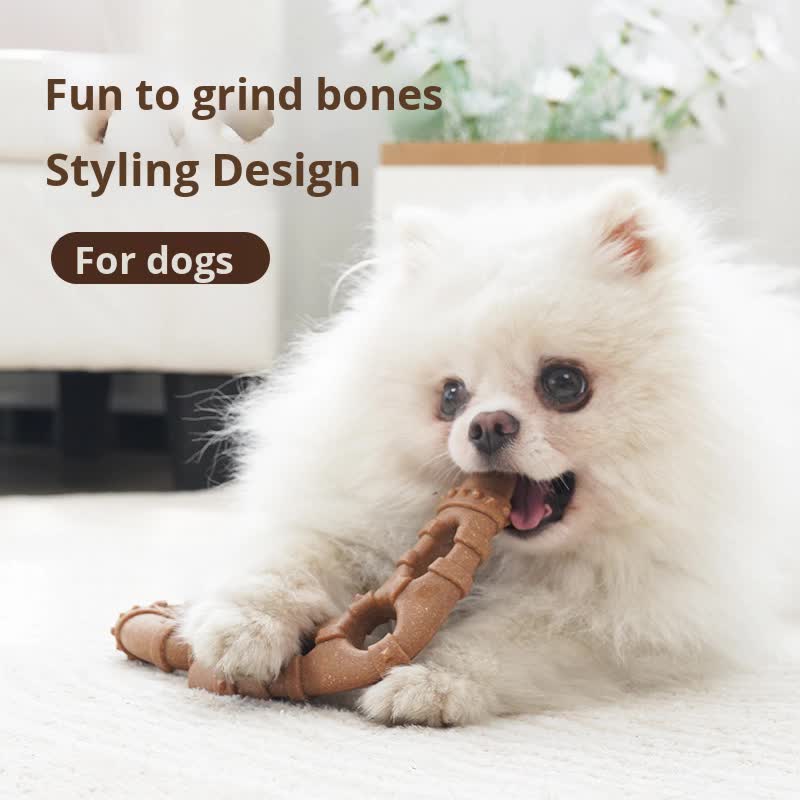 Trigeminal bone Durable Dog Chew Toy for Dental Health - Tough view 3