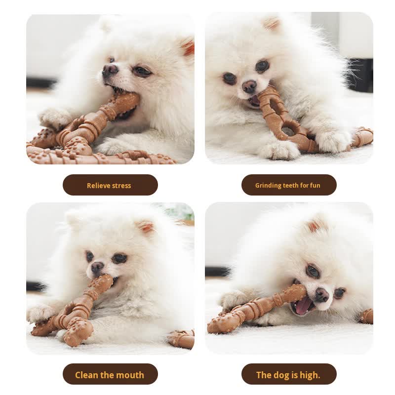Glasses Durable Dog Chew Toy for Dental Health - Tough view 2