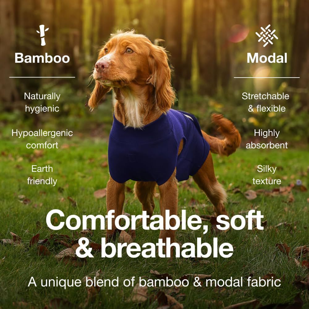XL Blue Premium Pet Physiological Suit - Comfortable & Breathable Bamboo Modal view 4