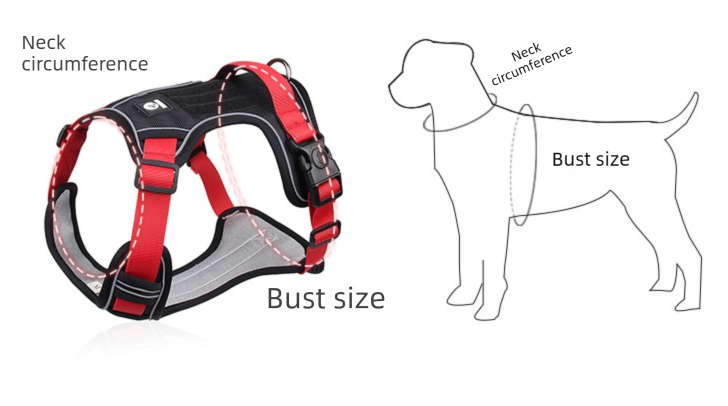Blue L Adjustable No-Pull Dog Harness and Leash Set - Reflective & Padded Vest view 3