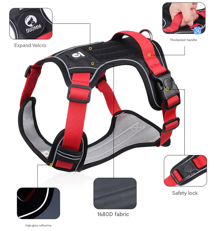 Blue XL Adjustable No-Pull Dog Harness and Leash Set - Reflective & Padded view 4