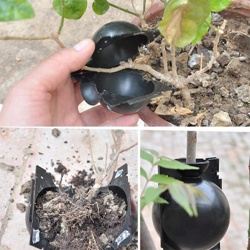 5-Pack Black Reusable Plant Air Layering Propagation Pod (Diameter: 5cm) view 2