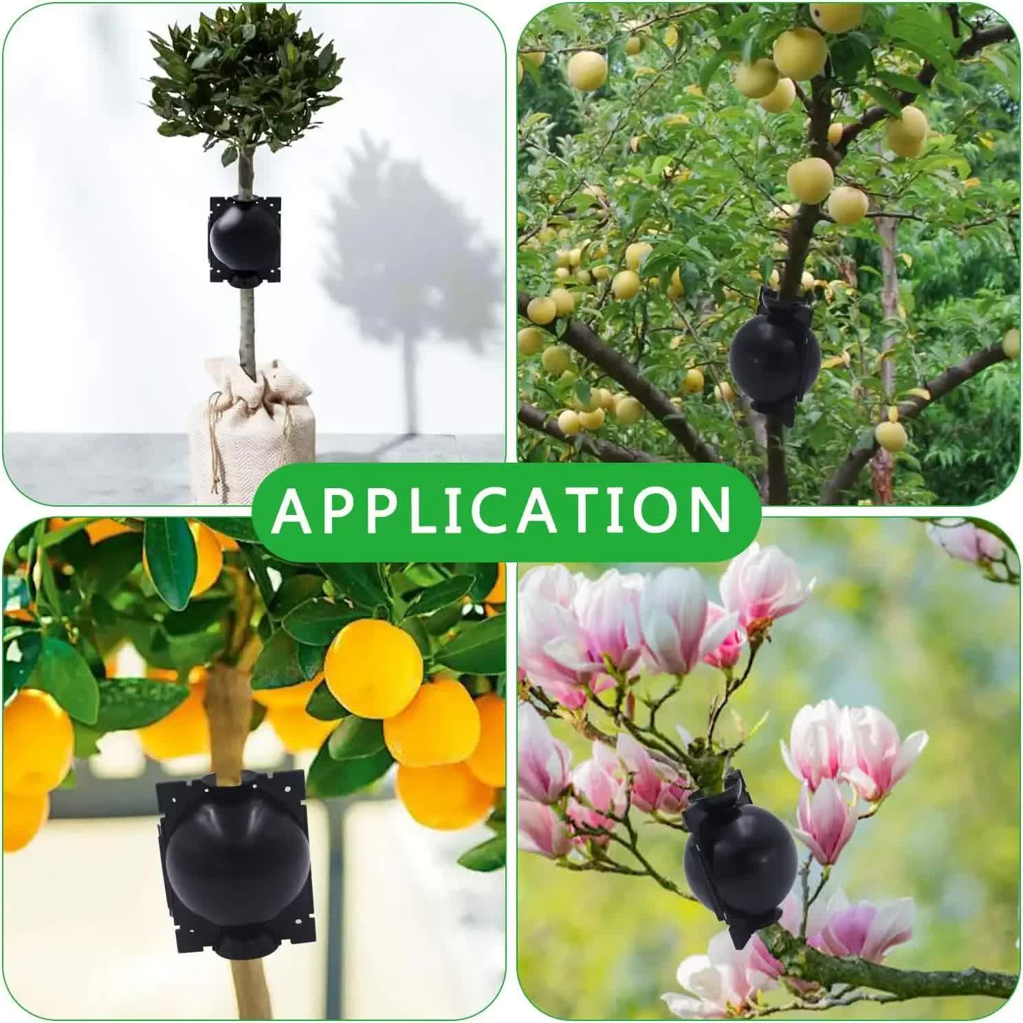 5-Pack Transparent Reusable Plant Air Layering Propagation Pod (Diameter: 5cm) view 3