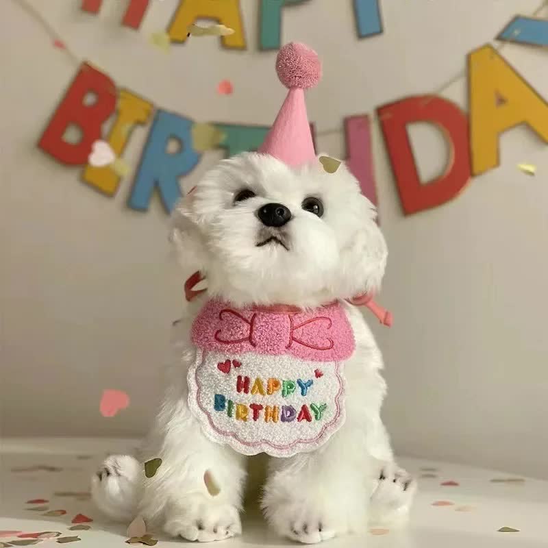 4-Pack Adorable Pet Dog Cat Birthday Party Hat & Bib Set(Pink & Light Blue)