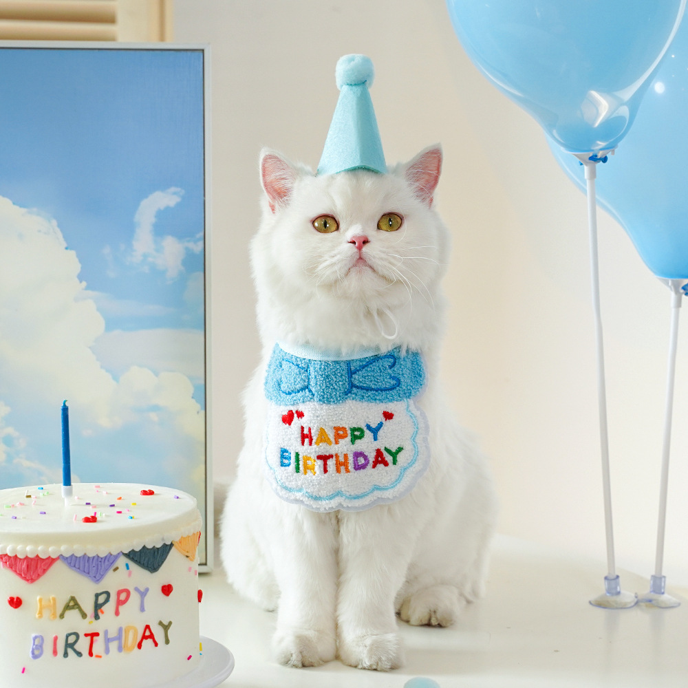 4-Pack Adorable Pet Dog Cat Birthday Party Hat & Bib Set(Pink & Light Blue) view 2