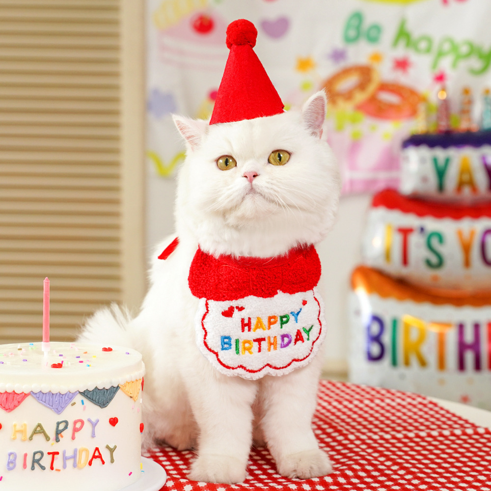 4-Pack Adorable Pet Dog Cat Birthday Party Hat & Bib Set(Green & Red) view 2