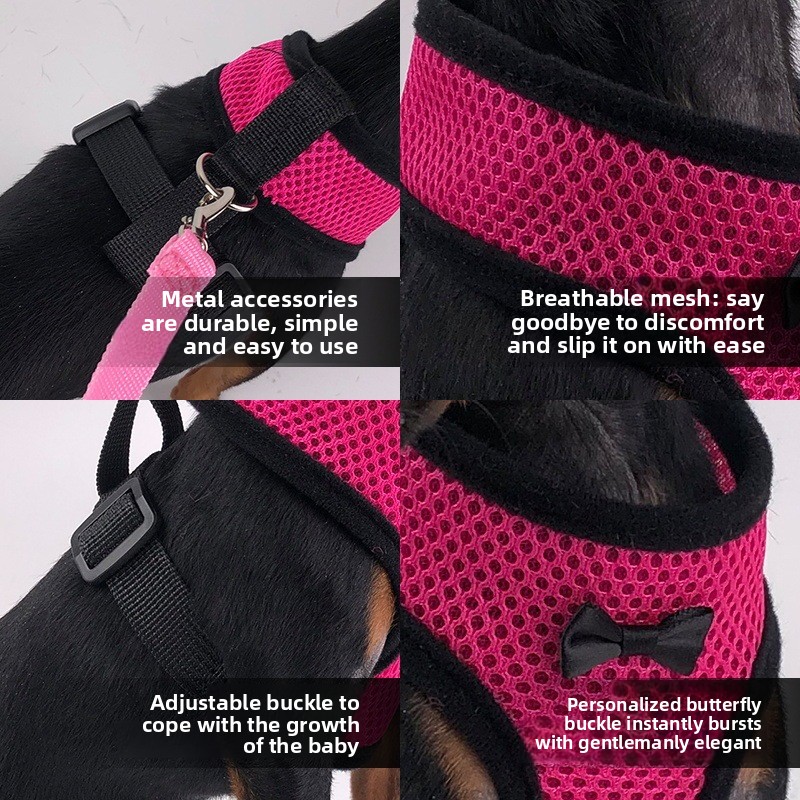 2-Pcs Blue Adjustable Pet Harness with Leash – Breathable Mesh Design for view 5