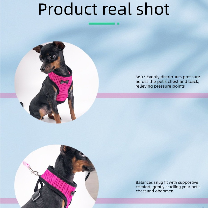 2-Pcs Pink Adjustable Pet Harness with Leash – Breathable Mesh Design for view 4