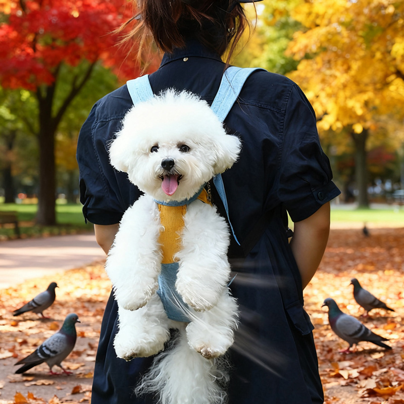 Red and white two-tone style Pet Carrier Backpack Front Chest Pack Legs Out view 2