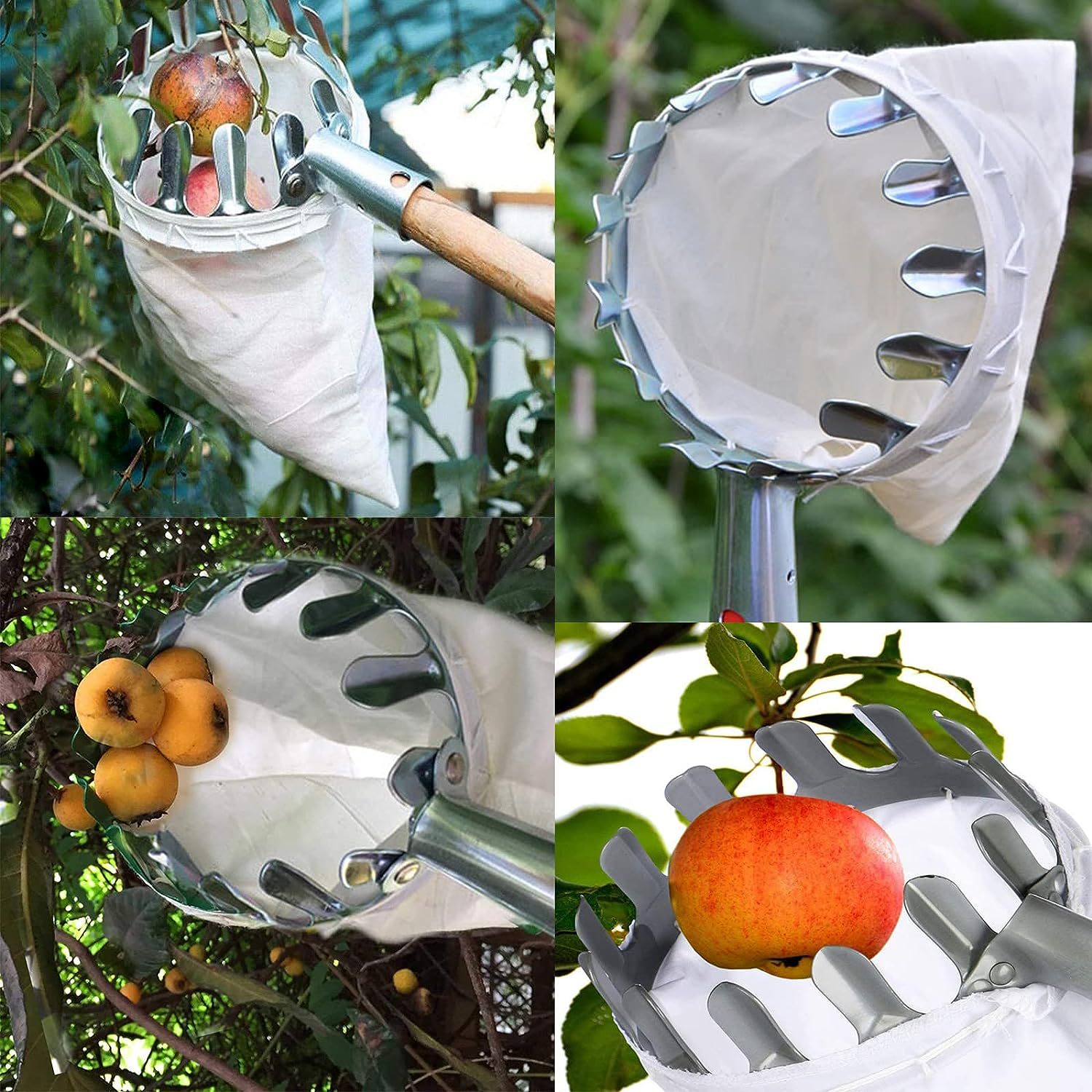 Green Telescopic Fruit Picker Tool with Stainless Steel Extension Pole Carbon view 3