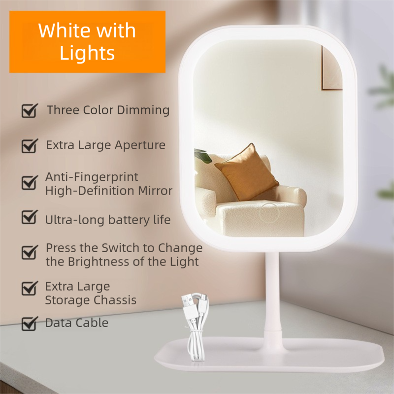 Portable LED Makeup Mirror with Integrated Fill Light & Storage Chassis