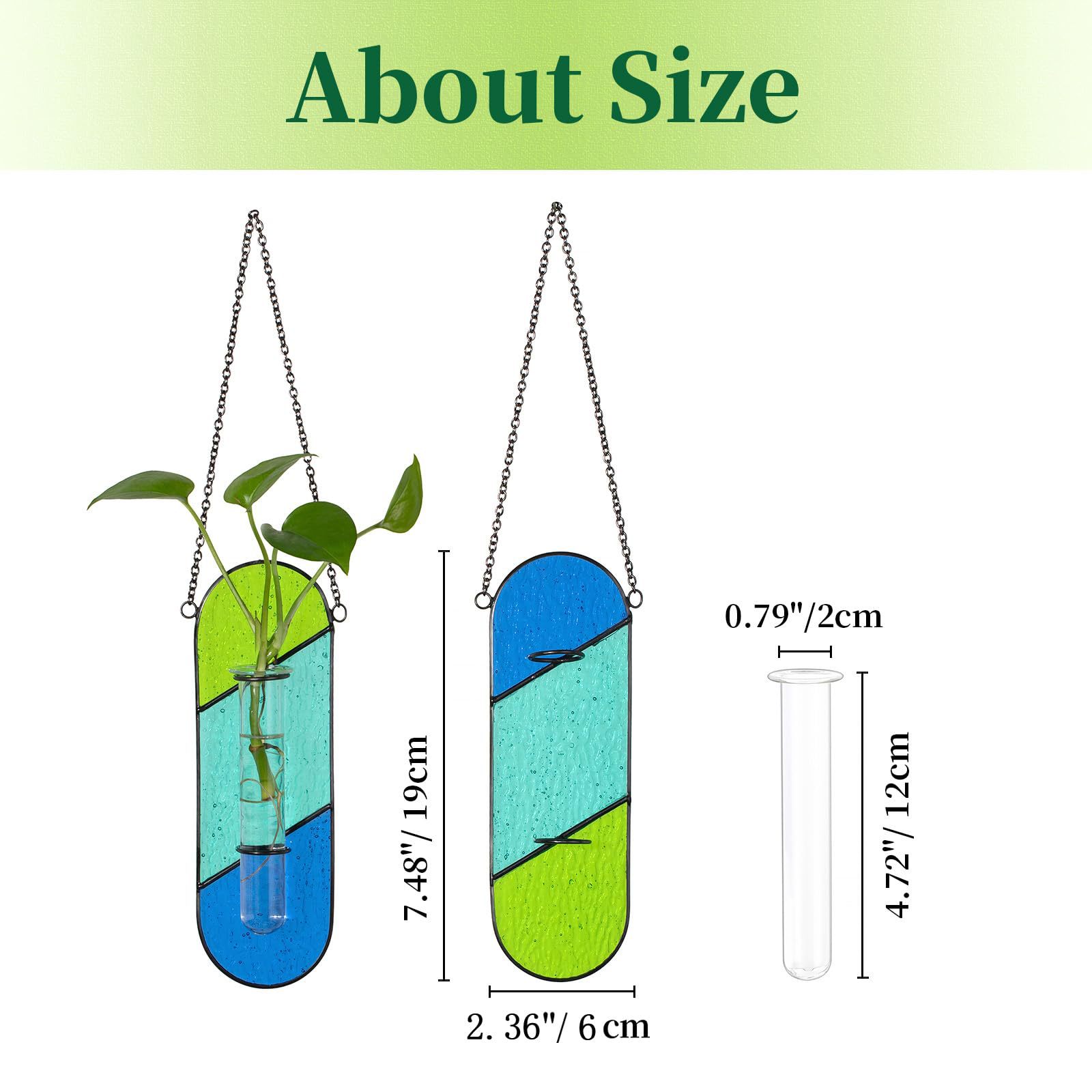 2-Pack Handcrafted Colored Glass Hydroponic Test Tube Vase - Creative Indoor view 4