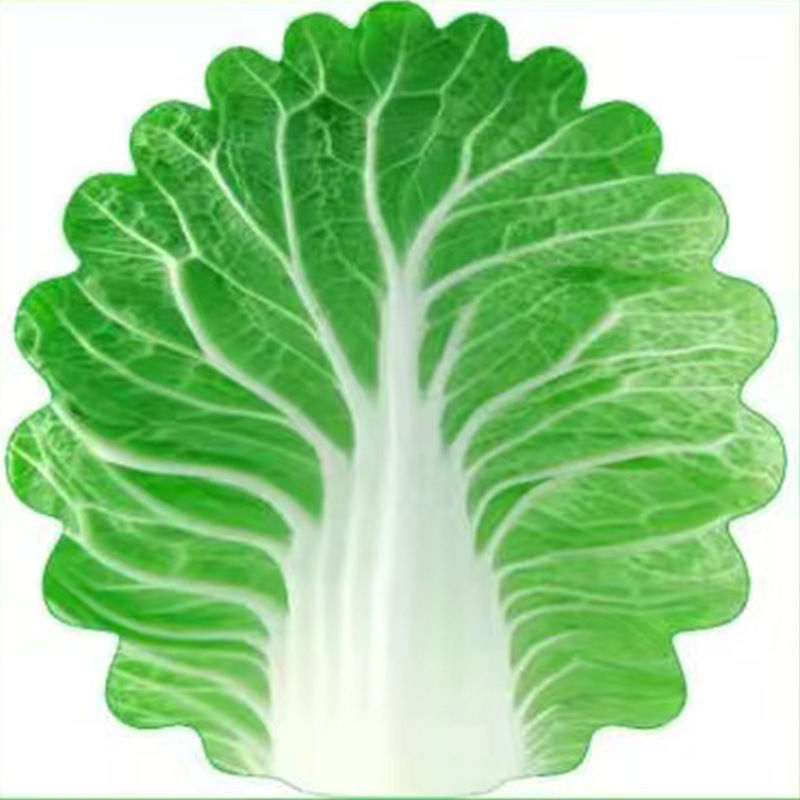 Cute Cabbage-Shaped Fleece Blanket – Fun and Cozy Throw for Naps