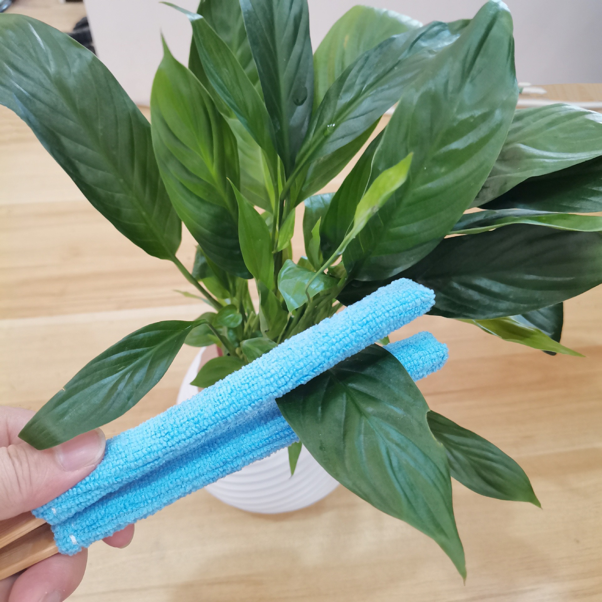 Orange 3 Pack Microfiber Plant Leaf Cleaning Tongs with Removable Sleeves and view 4