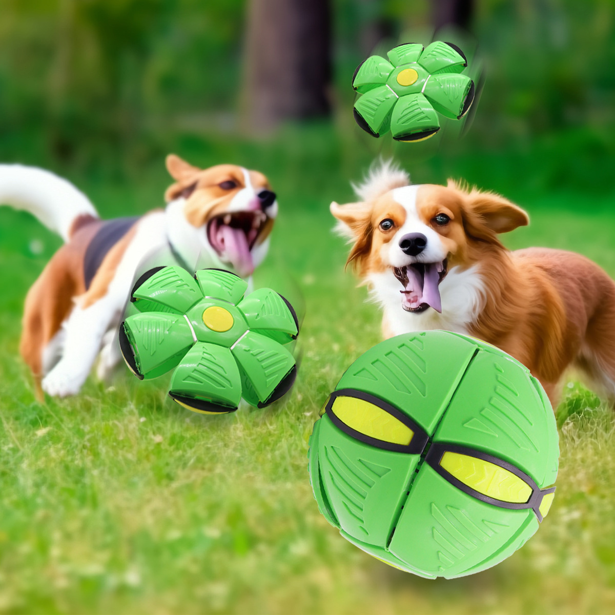 Green Transformable Dog Toy – Dual-Mode Bouncing Ball & Flying Disc for view 4