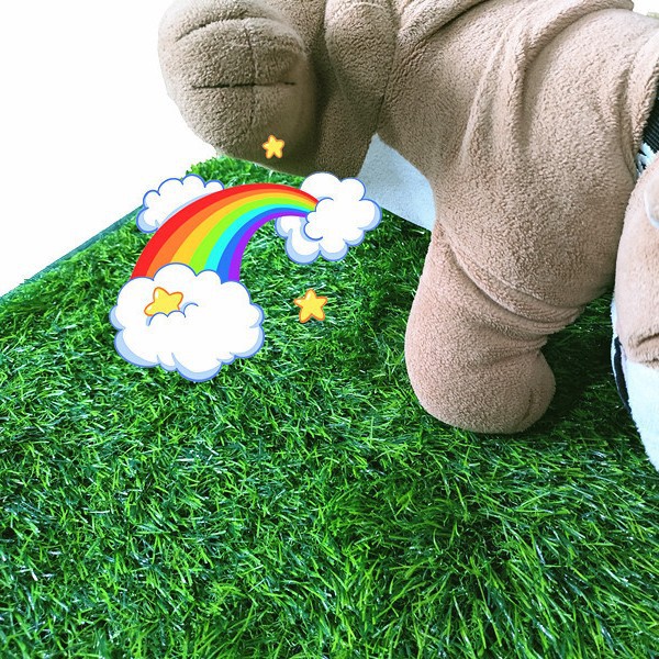 M Size Realistic Artificial Grass Dog Potty Pad - Indoor/Outdoor Pet Training Turf view 2