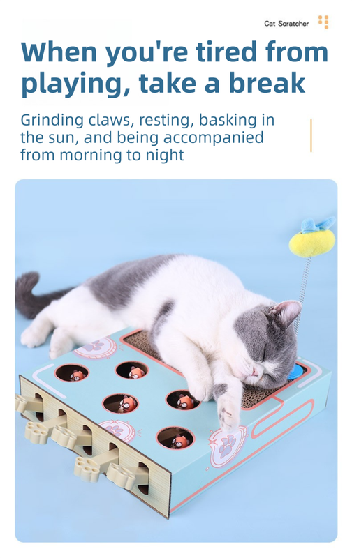 3-in-1 Whack-A-Mole Cat Toy & Scratching Lounge - Spring Swivel Toy view 5