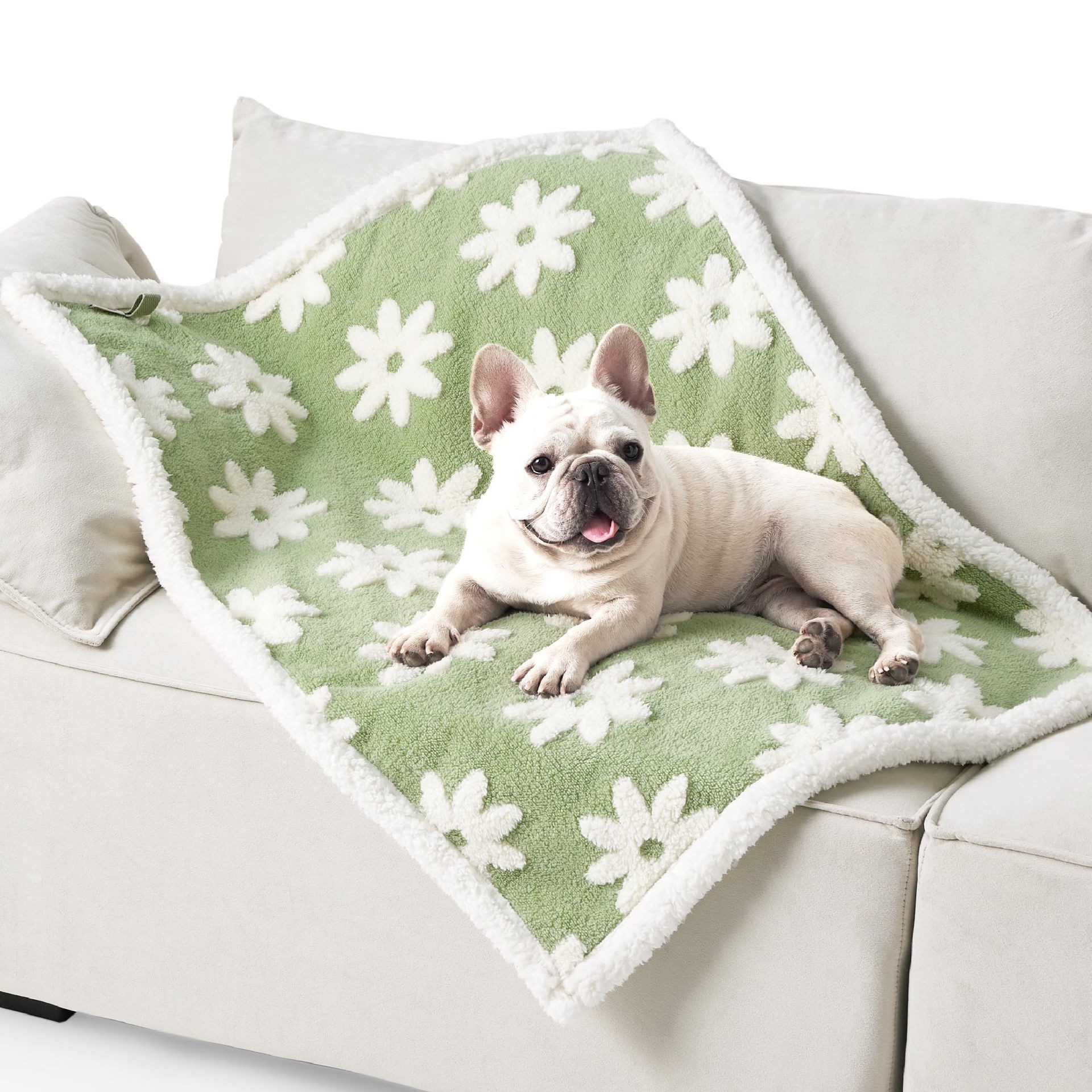 100 x 130 CM Waterproof Soft Sherpa Fleece Pet Blanket (Green Floral)