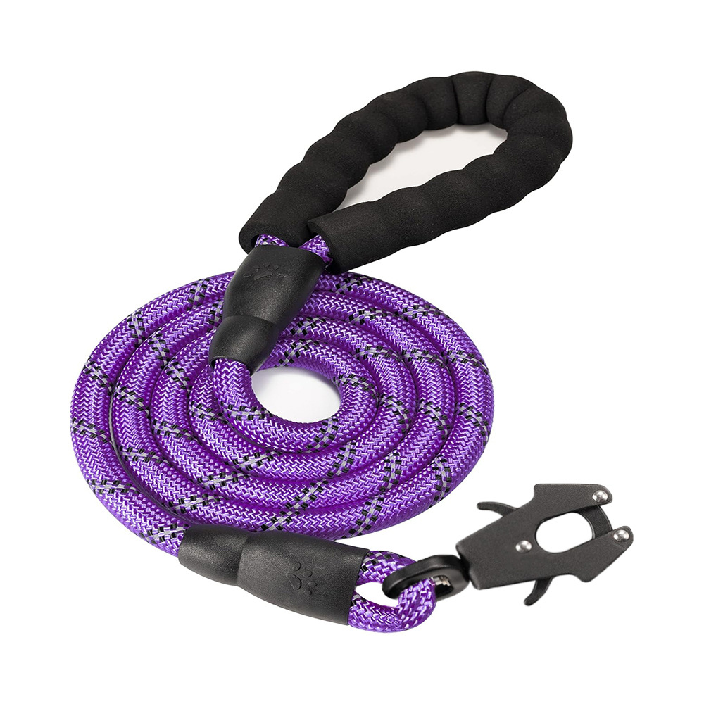 Purple High Strength Nylon Rope Dog Leash — image 1