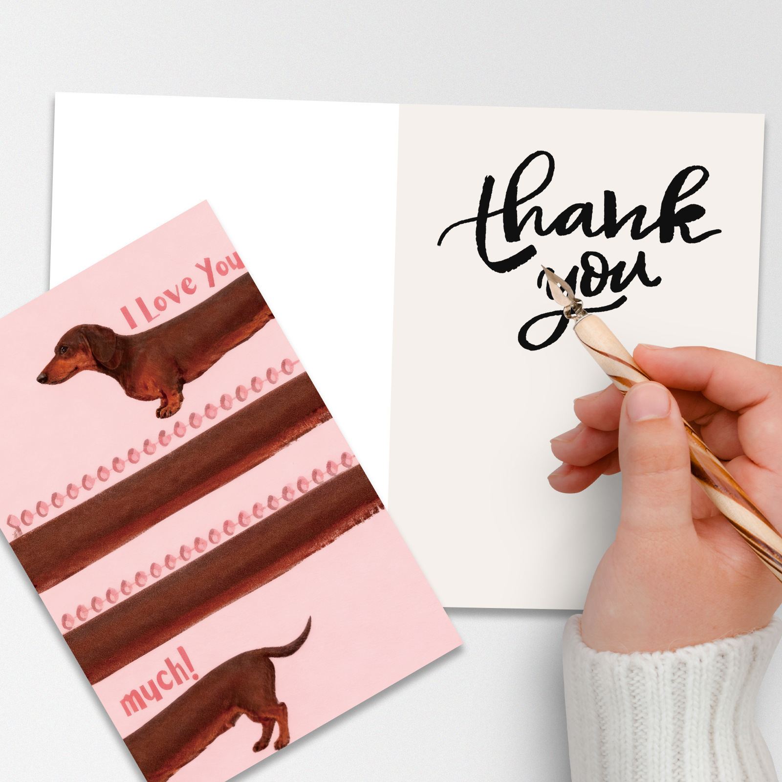 10-Pack Adorable Dachshund Valentine's Day Greeting Cards with Red Envelopes view 3