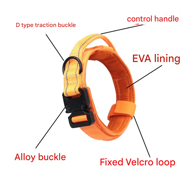 L Black Hands-Free Dog Leash with Adjustable Waist Belt - Shock Absorbing view 3