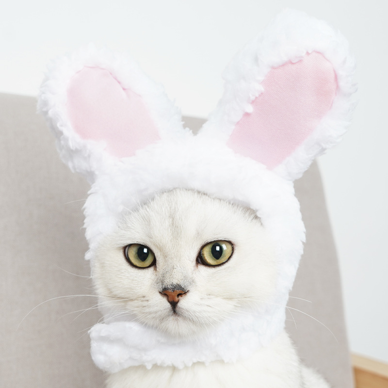 2 Pcs (White and Pink) Adorable Bunny Ears Cat Hat – Soft Plush Pet Costume view 3