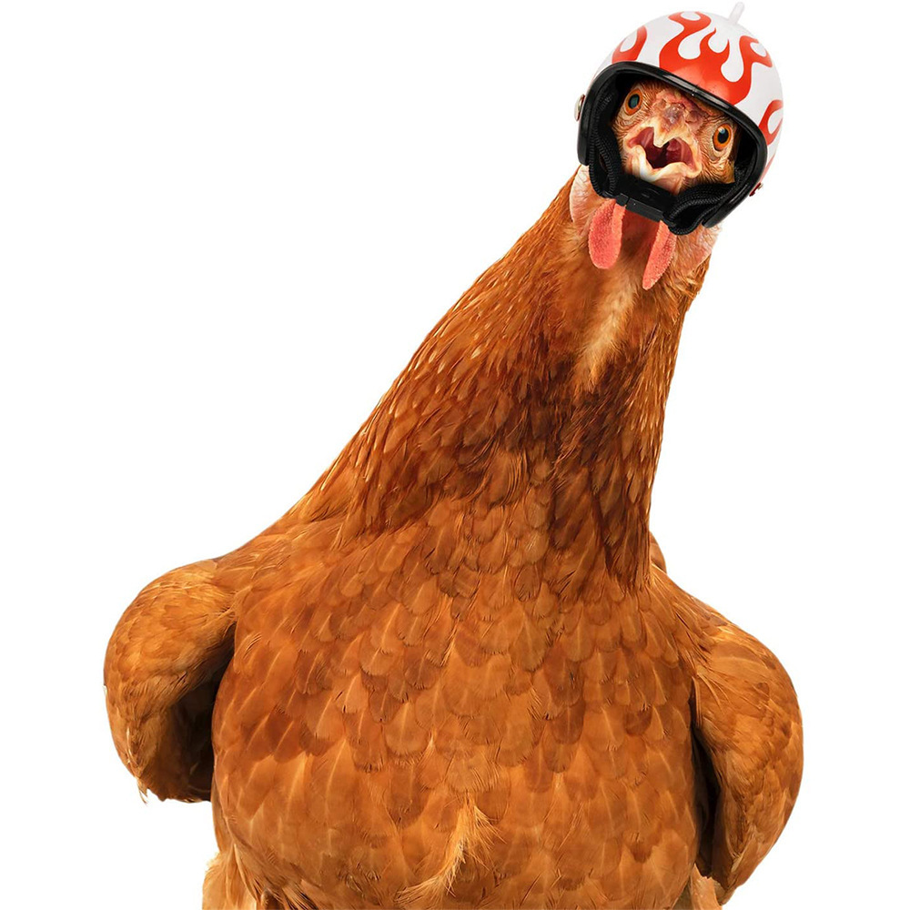 Green Pet Chicken Helmet Set of 3 – Protective Headgear for Chicks view 2