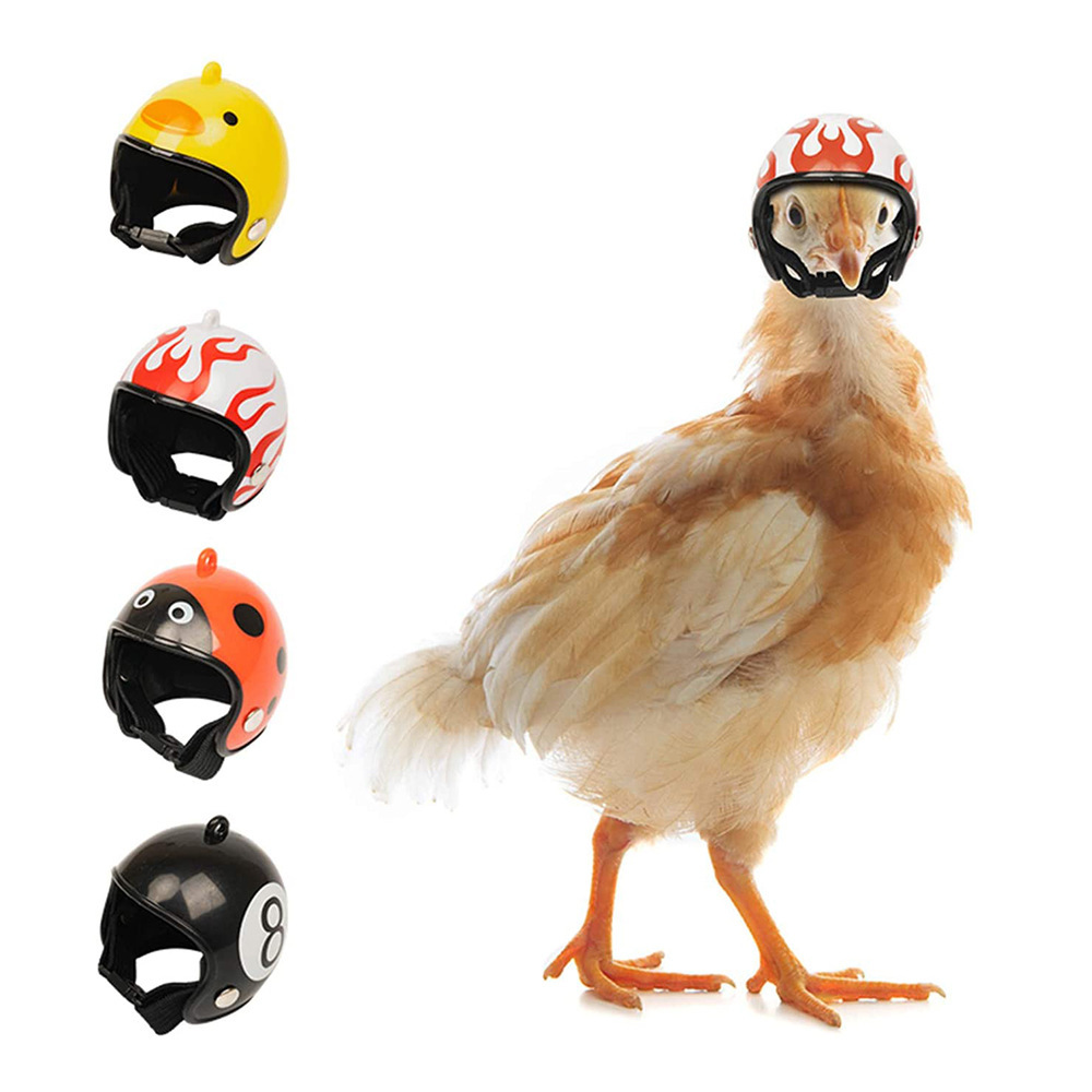 Green Pet Chicken Helmet Set of 3 – Protective Headgear for Chicks view 3