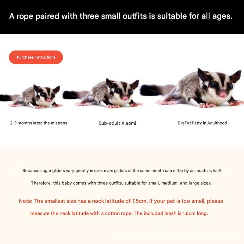 2-Pack dark brown Small Mammal Harness Set – 6 Pcs (S/M/L ×2) + 2×1.5m Leashes view 3