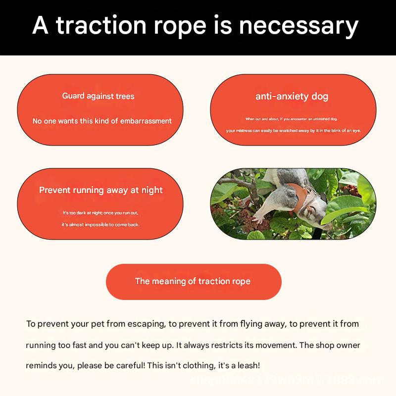2-Pack yellow Small Mammal Harness Set – 6 Pcs (S/M/L ×2) + 2×1.5m Leashes for view 2